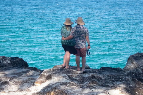 North Stradbroke Island Private Tour With Pickup - Great Ocean Road Tourism 4