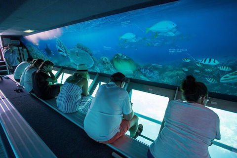 Great Barrier Reef Day Cruise To Reefworld - Great Ocean Road Tourism 0