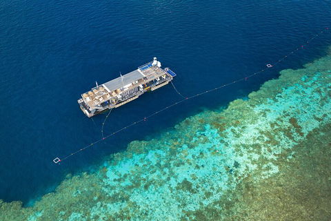 Great Barrier Reef Day Cruise To Reefworld - Great Ocean Road Tourism 2