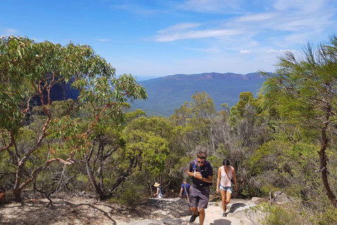 Blue Mountains Unique Small-Group Day Adventure With BBQ Lunch - Great Ocean Road Tourism 3