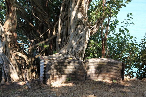 Darwin Walking Tour: World War II Reflections - Great Ocean Road Tourism 3