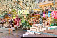 Full Day Sunshine Coast Hinterland Luxury Small Group Tour from Brisbane