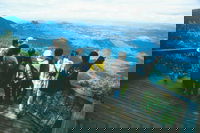 Springbrook National Park  Gold Coast Full Day Luxury Tour from Brisbane