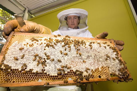 The Ginger Factory Play, Taste & Discover Bundle Admission Ticket - Great Ocean Road Tourism 2