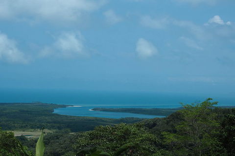 Cape Tribulation, Daintree Rainforest And Wildlife Tour - Great Ocean Road Tourism 1