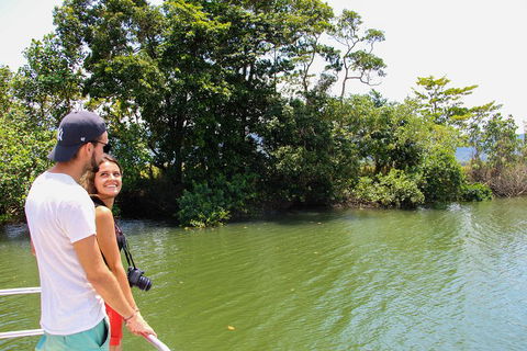 Cape Tribulation, Daintree Rainforest And Wildlife Tour - Great Ocean Road Tourism 2