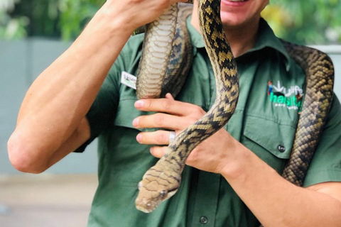 Virtual Interactive Australian Wildlife Tour With Private Guide-Wildlife Habitat - Great Ocean Road Tourism 1