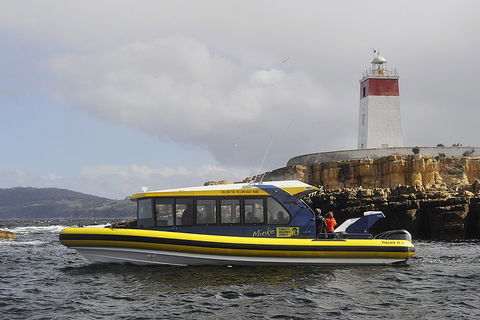Hobart Sightseeing Cruise Including Iron Pot Lighthouse - Great Ocean Road Tourism 0