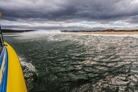 Hobart Sightseeing Cruise Including Iron Pot Lighthouse - Great Ocean Road Tourism 3