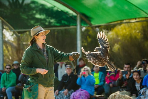 Full Day Kangaroo Island Sip And See Tour Departing From Kangaroo Island - Great Ocean Road Tourism 1