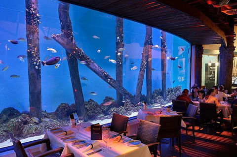 Cairns Aquarium And Small Group City Sightseeing Tour - Great Ocean Road Tourism 4