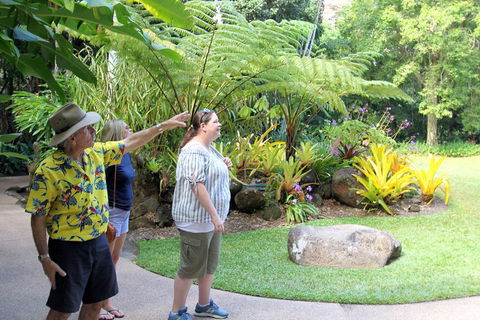 Cairns Shore Excursion: Cairns City Sights & Surrounds Tour - Great Ocean Road Tourism 4