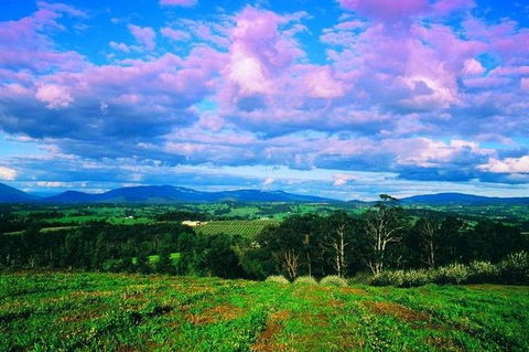 CHEVY CONVERTIBLE Package For 4 -Wine Lunch Cheese & Chocolate From Yarra Valley - Great Ocean Road Tourism 4