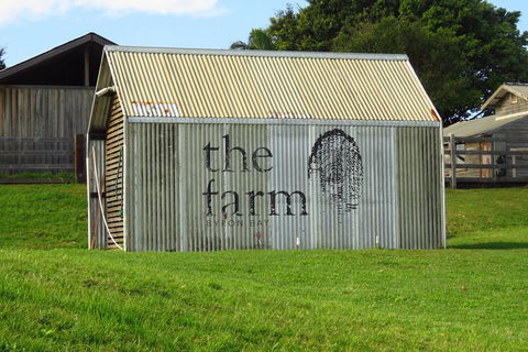 3-Hour Small-Group Byron Bay Tour - Great Ocean Road Tourism 3