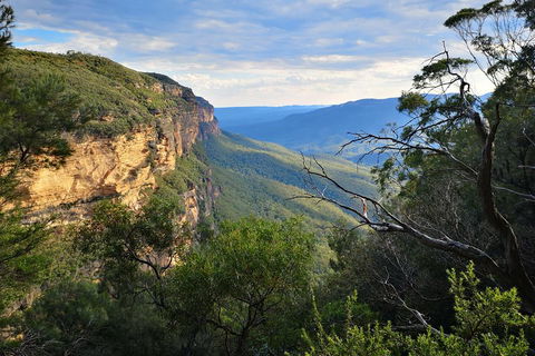 Blue Mountains Day Tour With Wildlife At Sunset From Sydney - Great Ocean Road Tourism 5