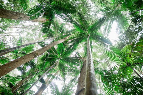 Fraser Explorer K'gari 2-Day Tour - Great Ocean Road Tourism 2