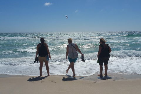 Very Best Of Perth Tour - Wildlife Park & City Highlights Tour - Great Ocean Road Tourism 5
