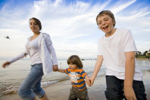 Phillip Island Penguin And Koala Highlights Day-Trip From Melbourne - Great Ocean Road Tourism 0