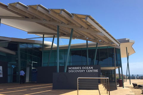 Phillip Island Penguin And Koala Highlights Day-Trip From Melbourne - Great Ocean Road Tourism 1