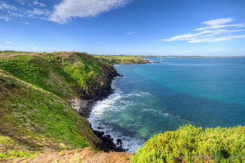 Phillip Island Penguin And Koala Highlights Day-Trip From Melbourne - Great Ocean Road Tourism 5