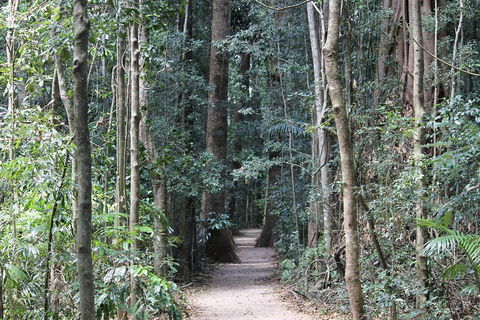 Eumundi Markets And Sunshine Coast Day Trip From Brisbane - Great Ocean Road Tourism 4