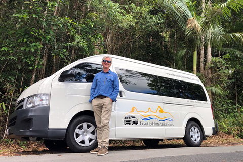 Sunshine Coast Hinterland Rainforest, Views And Montville Day Tour Inc. Lunch - Great Ocean Road Tourism 1