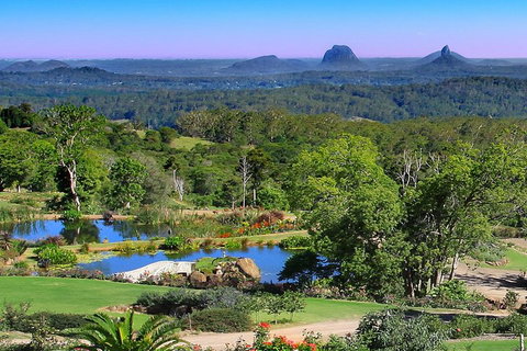 Sunshine Coast Hinterland Rainforest, Views And Montville Day Tour Inc. Lunch - Great Ocean Road Tourism 5