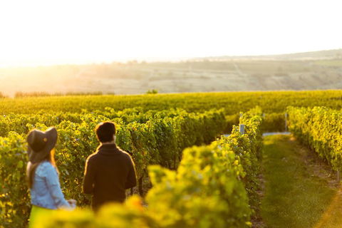 Margaret River Private Tour - Great Ocean Road Tourism 2