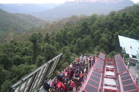Blue Mountains Private Tour With Wildlife Park And River Cruise - Great Ocean Road Tourism 1