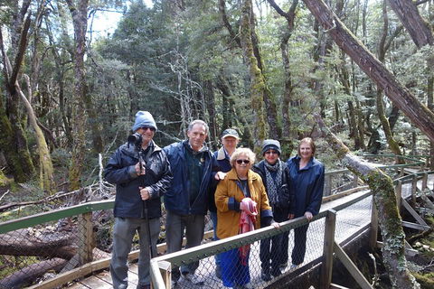 Blue Mountains Private Tour With Wildlife Park And River Cruise - Great Ocean Road Tourism 2