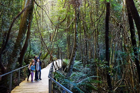Blue Mountains Private Tour With Wildlife Park And River Cruise - Great Ocean Road Tourism 4