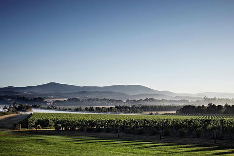 Chauffeur Driven Yarra Valley Group Wine Tour - Up To 7 - Great Ocean Road Tourism 2