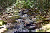 Springbrook Full Day Tour, Brisbane