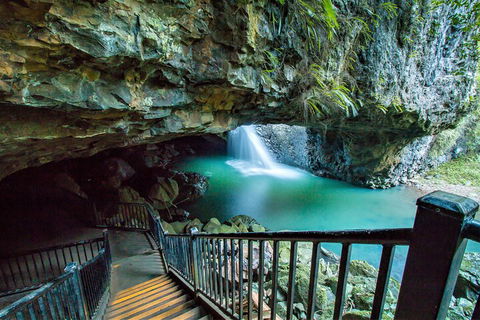 Springbrook Full Day Tour - Great Ocean Road Tourism 4