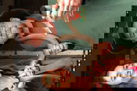 Perth Hills - Wildlife Art  Gastronomy