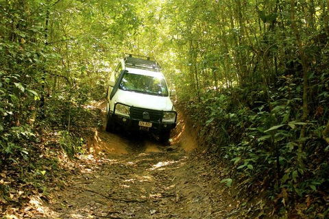Barron Gorge And Kuranda National Park Half Day Rainforest And Waterfall 4WD Tour From Cairns - Great Ocean Road Tourism 2