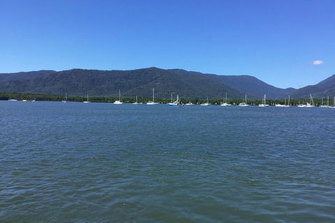 Cairns City Tour - Great Ocean Road Tourism 3