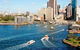Explore The Culture Of Sydney Harbour On This Walking Audio Tour To Lavender Bay - thumb 4