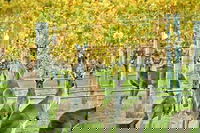 Margaret River Indulge and Discover Day Tour