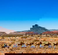 Alice Springs Camel Tour