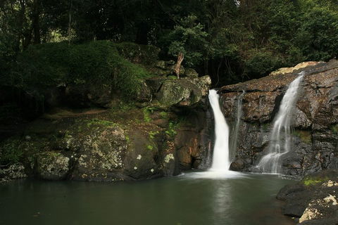 Hinterland Magic & Glow-worm Experience - Great Ocean Road Tourism 2