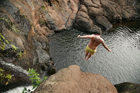 Hinterland Magic & Glow-worm Experience - Great Ocean Road Tourism 3