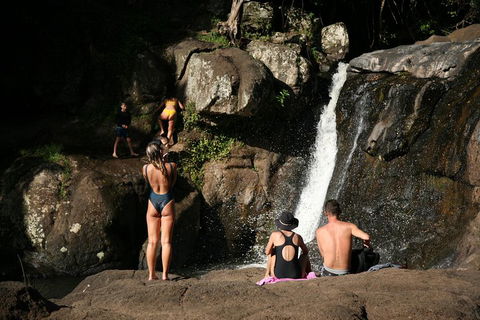 Hinterland Magic & Glow-worm Experience - Great Ocean Road Tourism 5