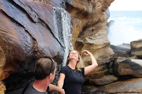 Royal National Park Tour - Great Ocean Road Tourism 4