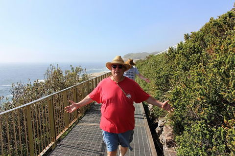 Bondi Beach And Beyond - Great Ocean Road Tourism 4