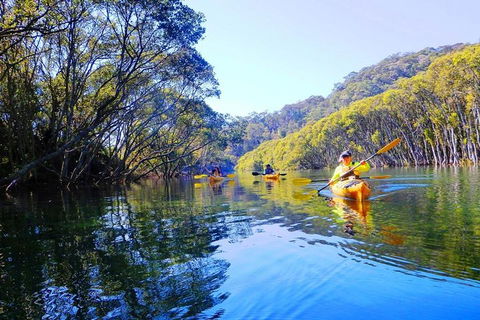 Half-Day Sydney Middle Harbour Guided Kayaking Eco Tour - Great Ocean Road Tourism 1
