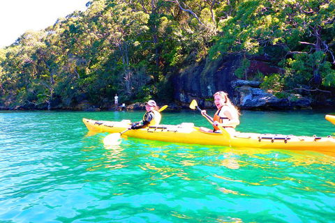 Half-Day Sydney Middle Harbour Guided Kayaking Eco Tour - Great Ocean Road Tourism 4