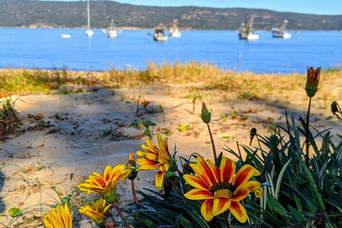 Central Coast Explorer With 'Personalised Sydney Tours' - Great Ocean Road Tourism 2