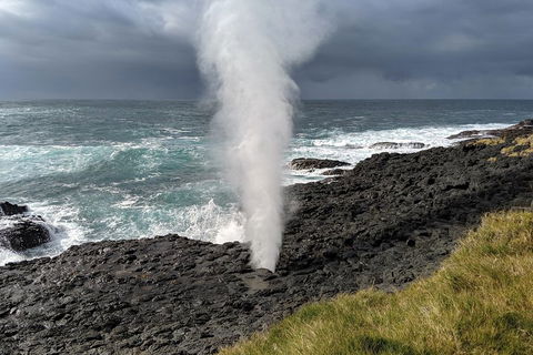 Erupting Blowholes And Ancient Rainforests With 'Personalised Sydney Tours' - Great Ocean Road Tourism 1