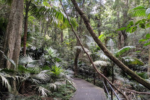 Erupting Blowholes And Ancient Rainforests With 'Personalised Sydney Tours' - Great Ocean Road Tourism 2